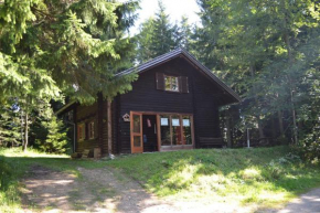 Ferienhütte Hochalm